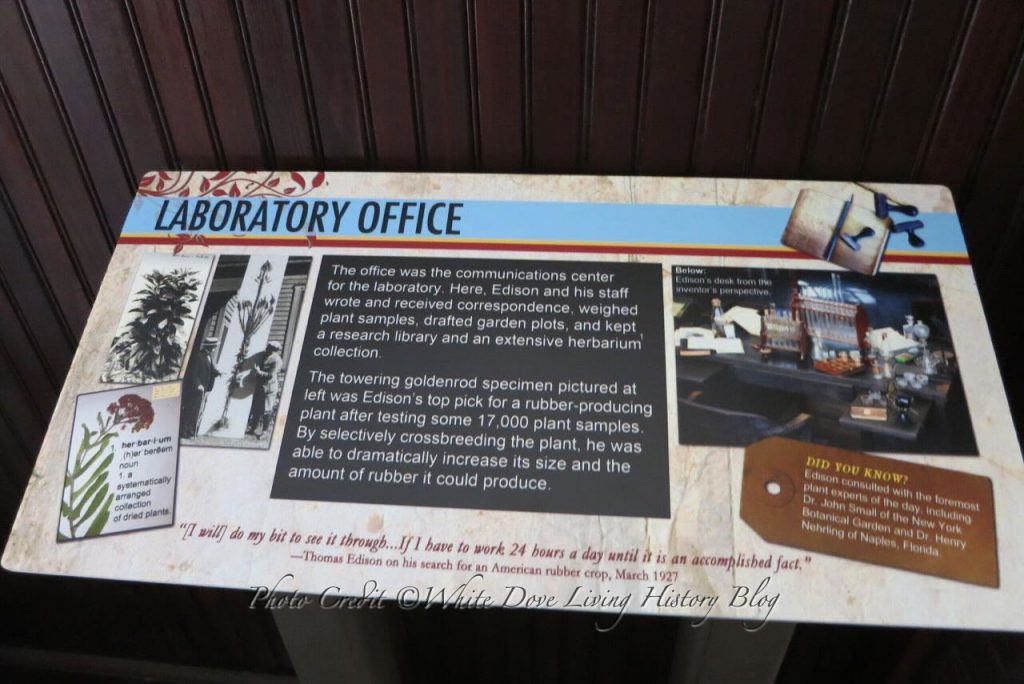 Edison's Winter Laboratory